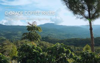 C-grade Coffee Prices Plummet to Record Lows
