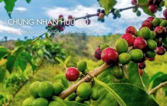 Ngành cà phê đối mặt tiêu chuẩn hữu cơ khắt khe từ USDA