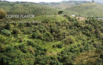 The journey to create a unique coffee flavor