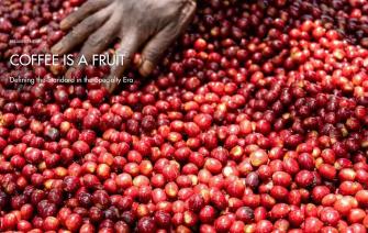 Coffee Is Fruit: Defining the Standard in the Specialty Era