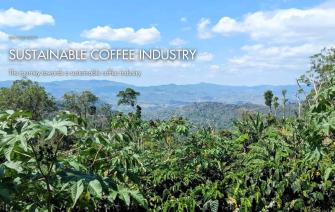 The journey towards a sustainable coffee industry