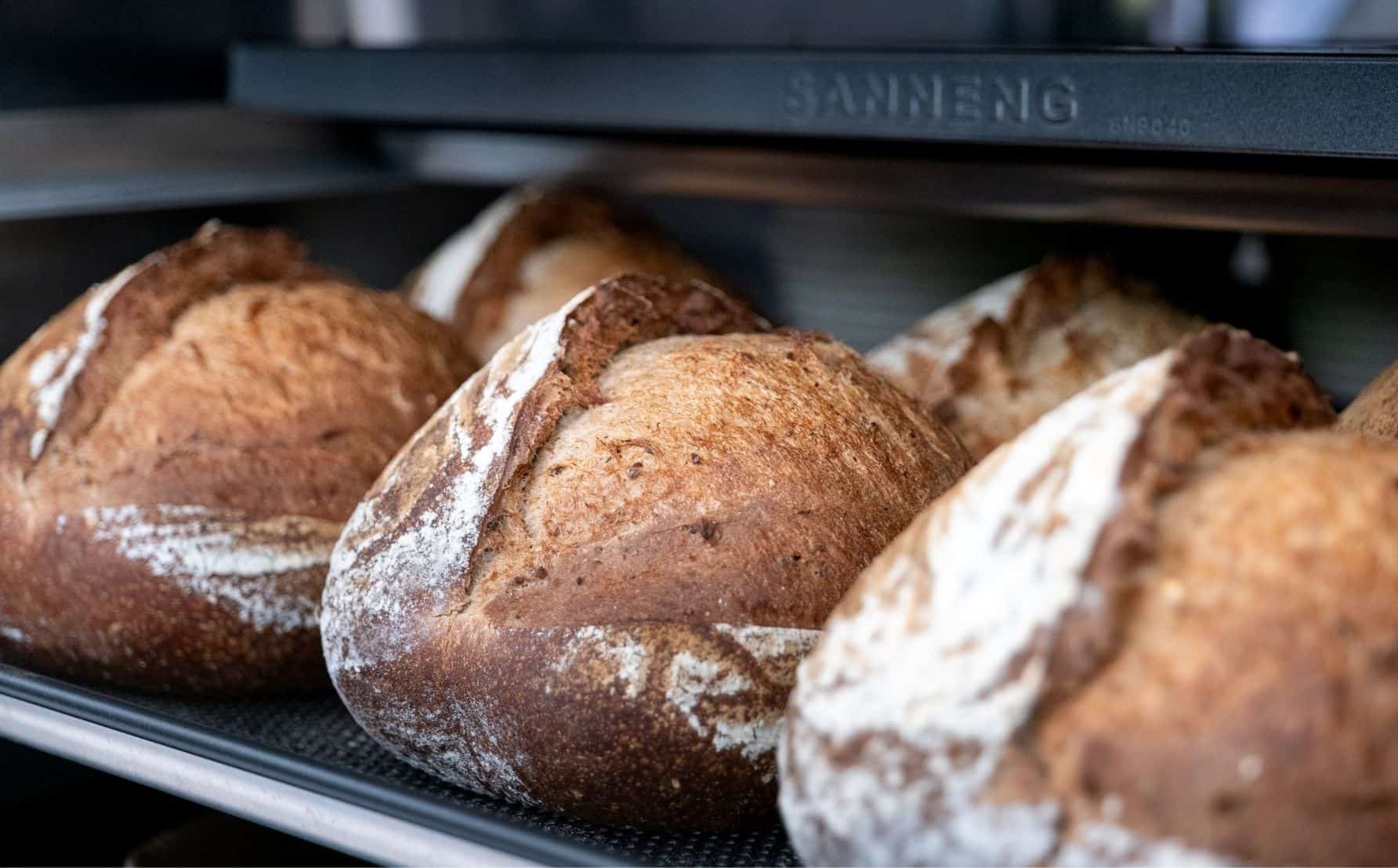 Sourdough Whole Wheat | XLIII Coffee
