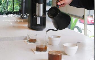 What is cupping? Important terms in cupping.