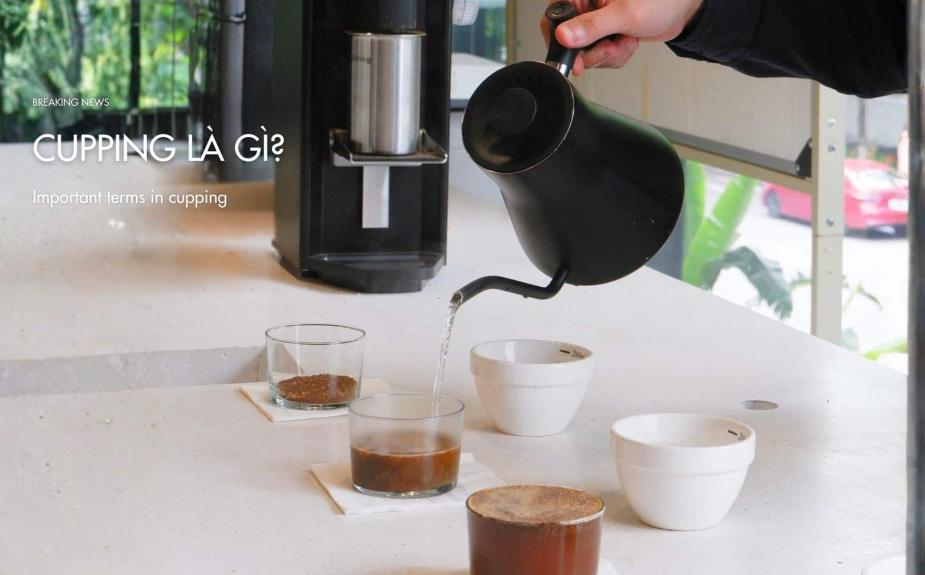 What is cupping? Important terms in cupping.