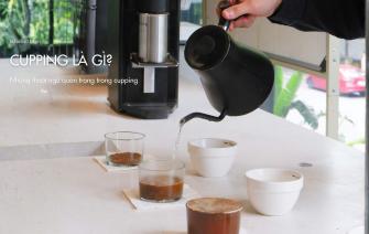 Cupping là gì? Những thuật ngữ quan trọng trong cupping