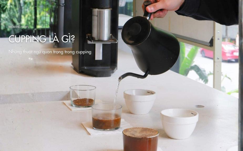 Cupping là gì? Những thuật ngữ quan trọng trong cupping