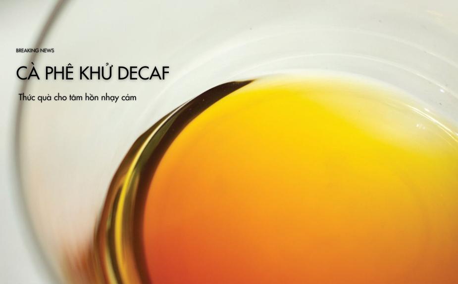 Cà phê khử Decaf – Thức quà cho tâm hồn nhạy cảm
