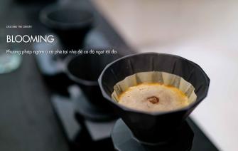 Phương pháp ngâm ủ (blooming) cà phê tại nhà để có độ ngọt tối đa