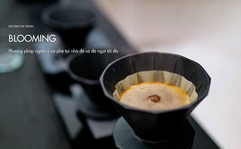 Phương pháp ngâm ủ (blooming) cà phê tại nhà để có độ ngọt tối đa