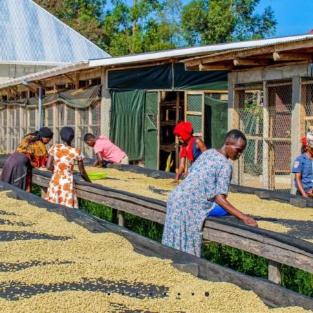 The Coffee Yards