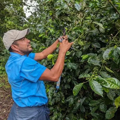 Los Placeres – Fincas Mierisch